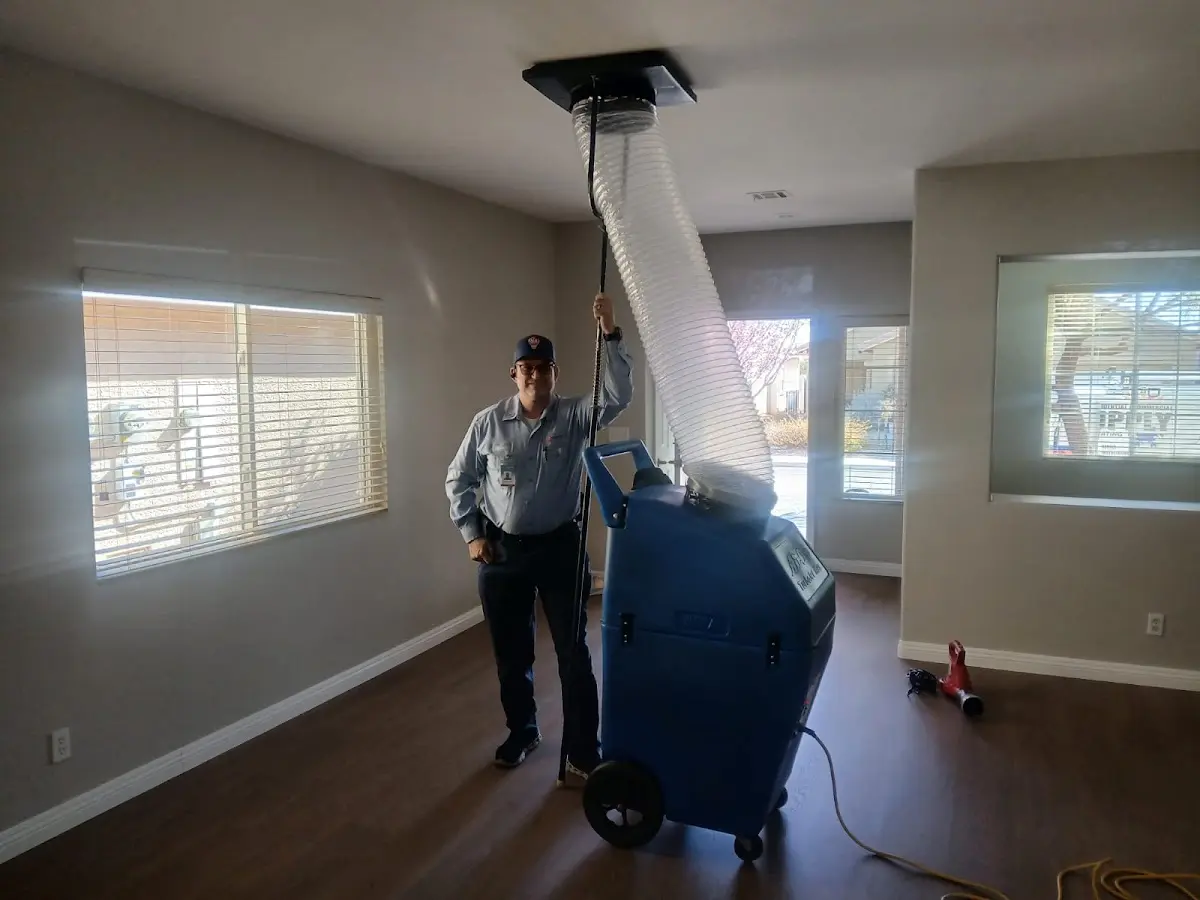 Professional Dryer Vent Cleaning work inside a Rose home